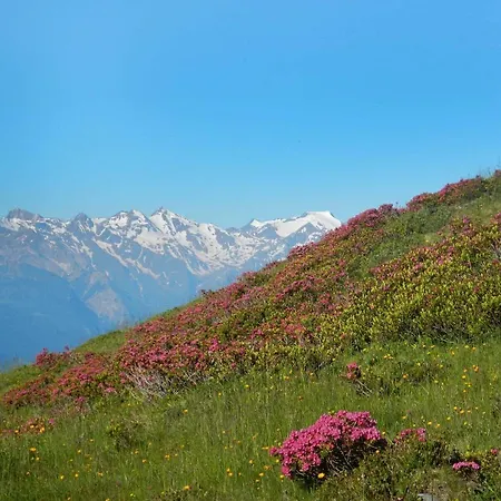 Apartment Niki's Bergloft *