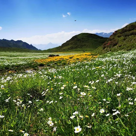 Apartment Niki's Bergloft Navis